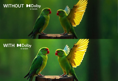 What is Dolby Vision HDR