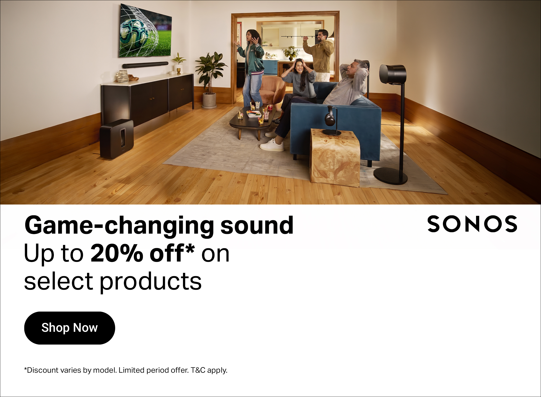 Large Audio